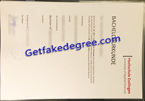 Hochschule Esslingen degree