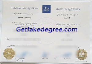 Holy Spirit University of Kaslik degree