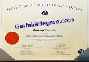 Emily Carr University of Art and Design degree