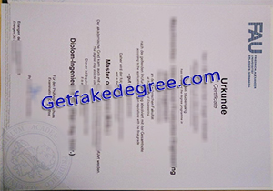 FAU Erlangen-Nürnberg degree