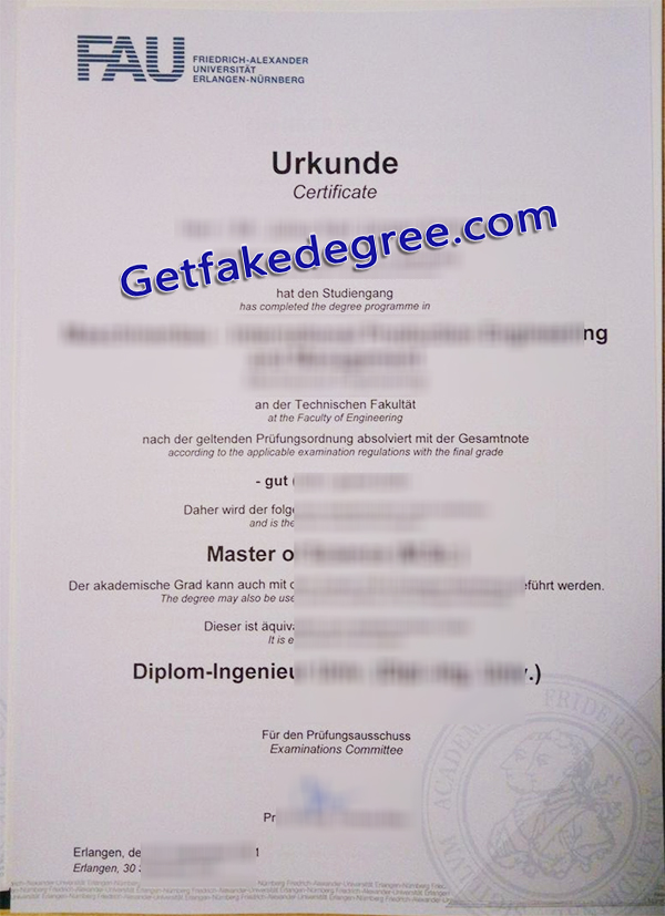 FAU Erlangen-Nürnberg diploma