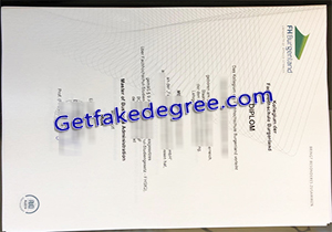 FH Burgenland degree