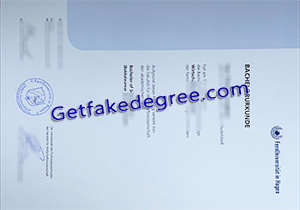 FernUniversität in Hagen degree