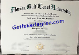 Florida Gulf Coast University degree