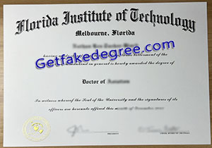 Florida Institute of Technology degree