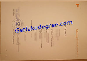 Folkwang University of the Arts degree