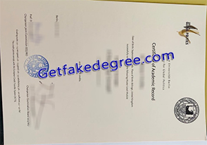 Freie Universität Berlin degree