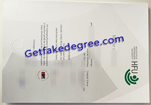 Furtwangen University degree