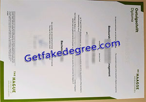 De Haagse Hogeschool degree